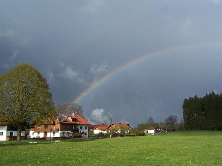 foto5
