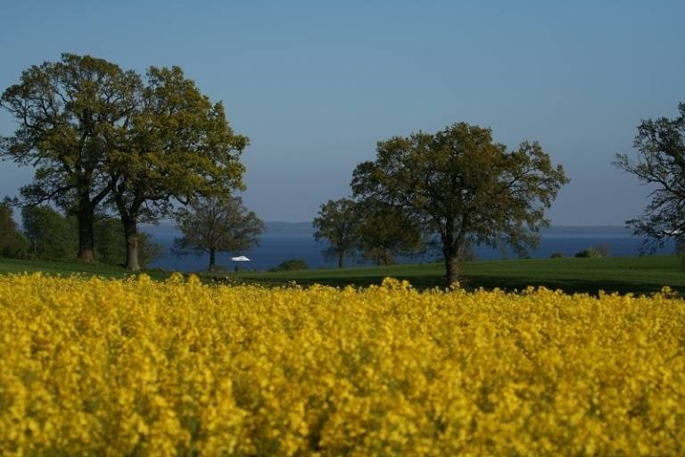 foto10