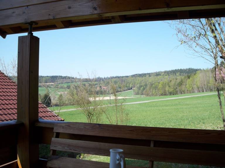 foto2