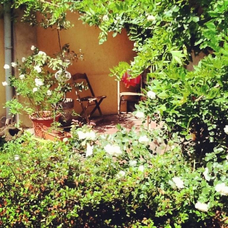 foto2