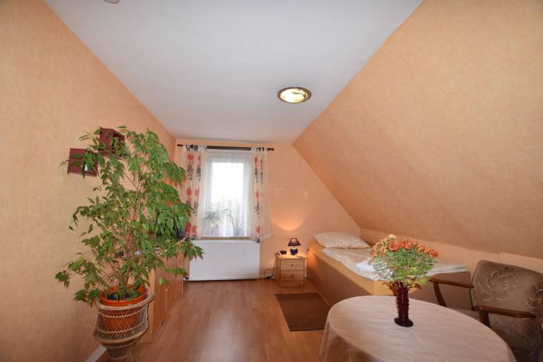 foto19