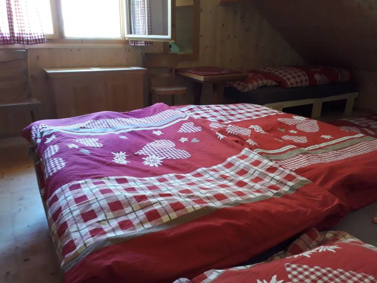foto6