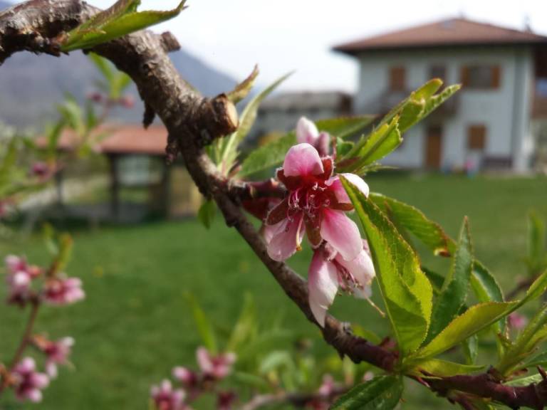 foto11