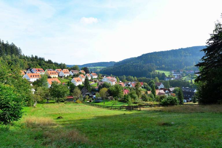 foto11