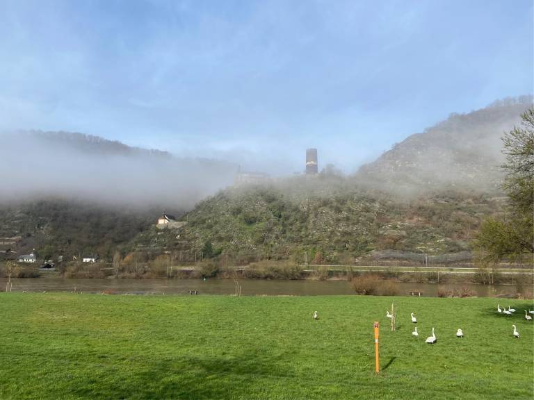 foto10