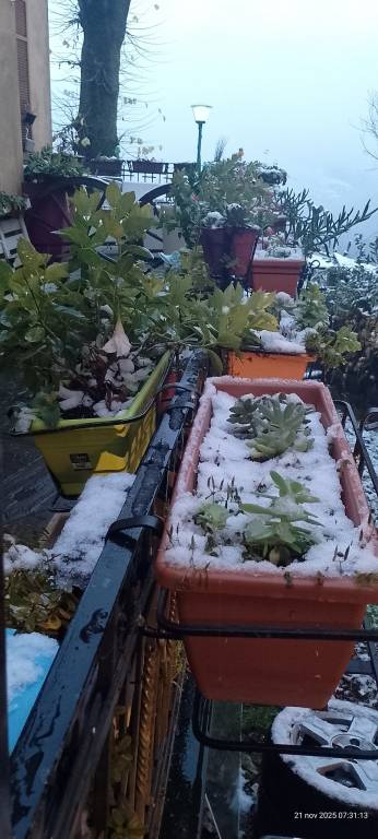 foto34