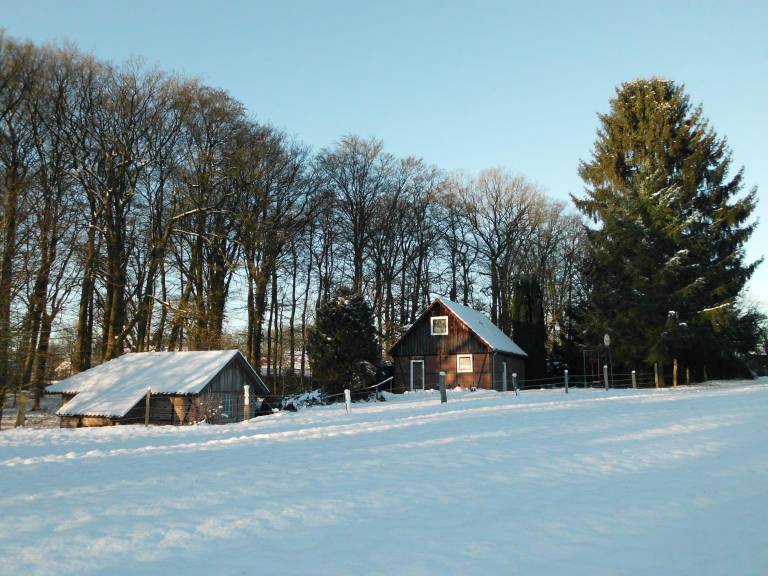 foto16