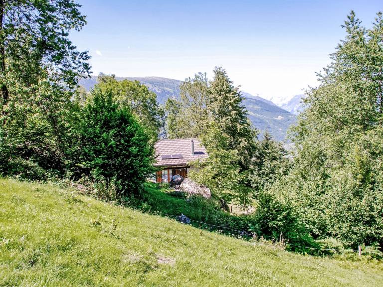 foto13