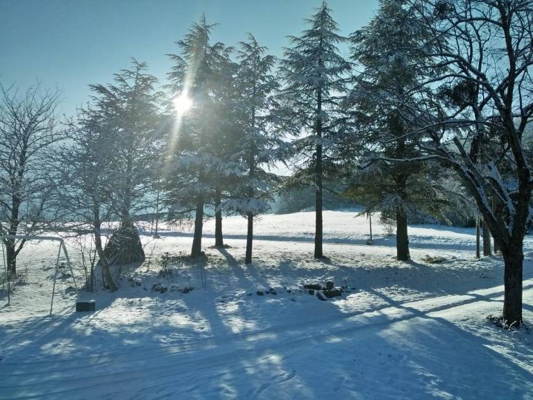 foto45