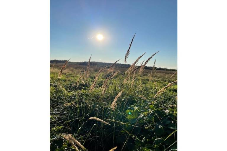 foto21