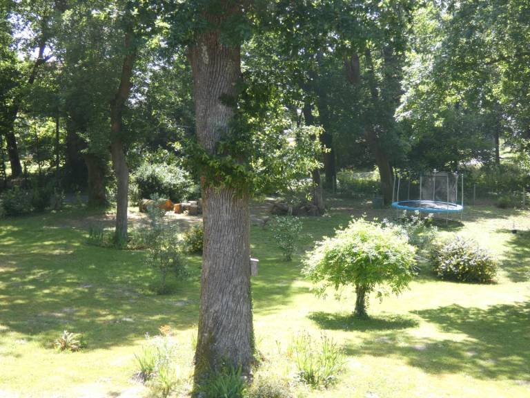 foto16