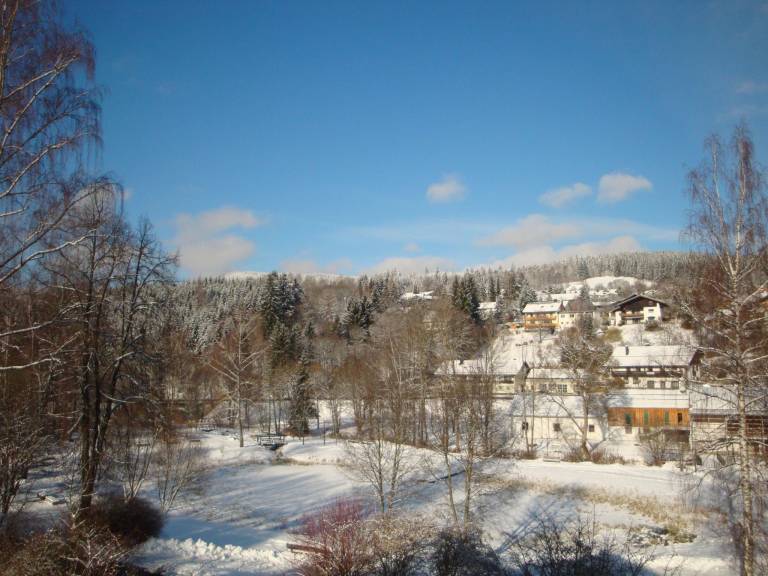 foto19