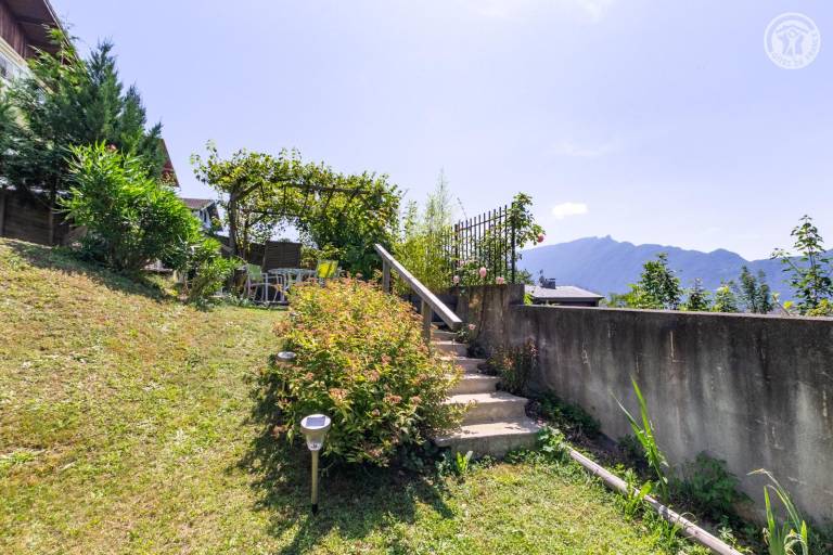 foto41