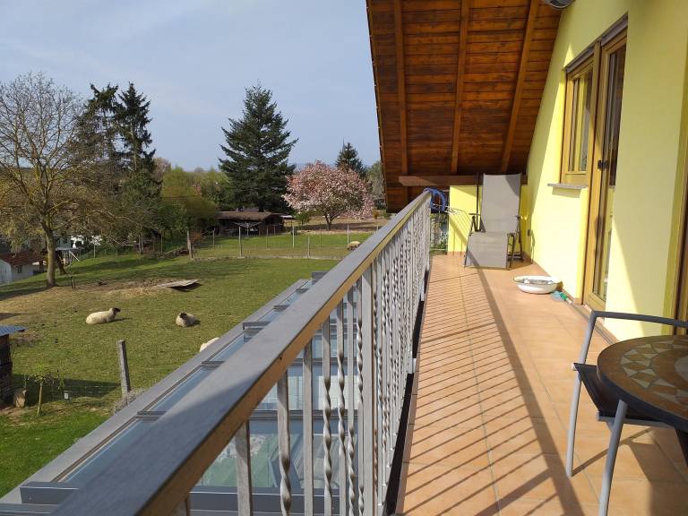 foto15