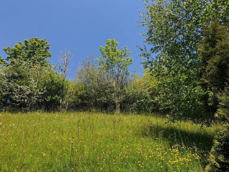 foto19