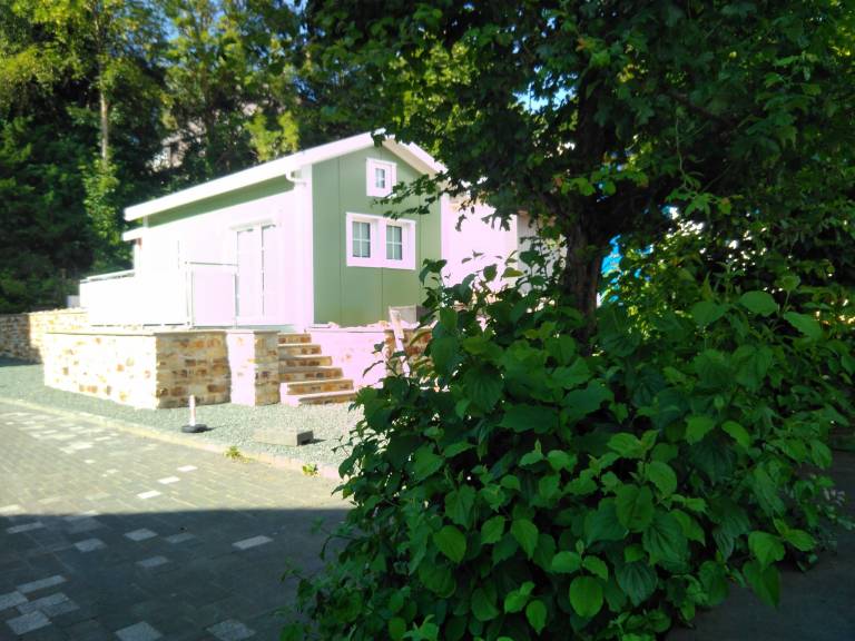 foto5