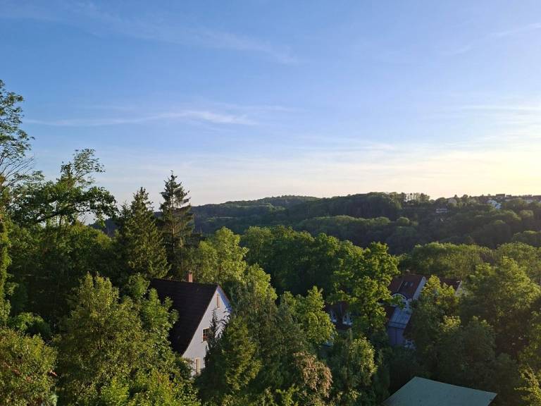 foto44