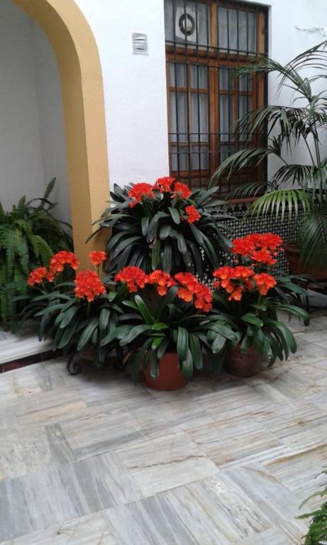 foto13