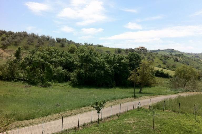 foto31