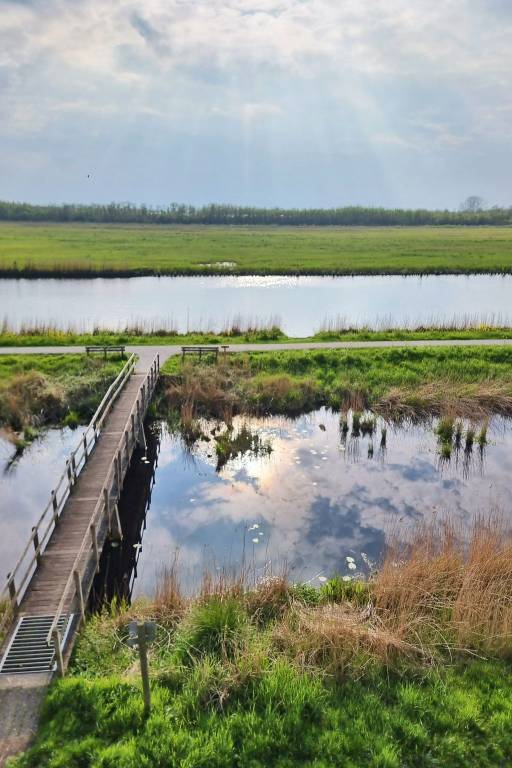 foto11