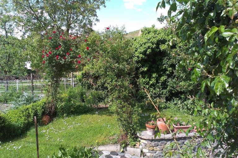 foto14