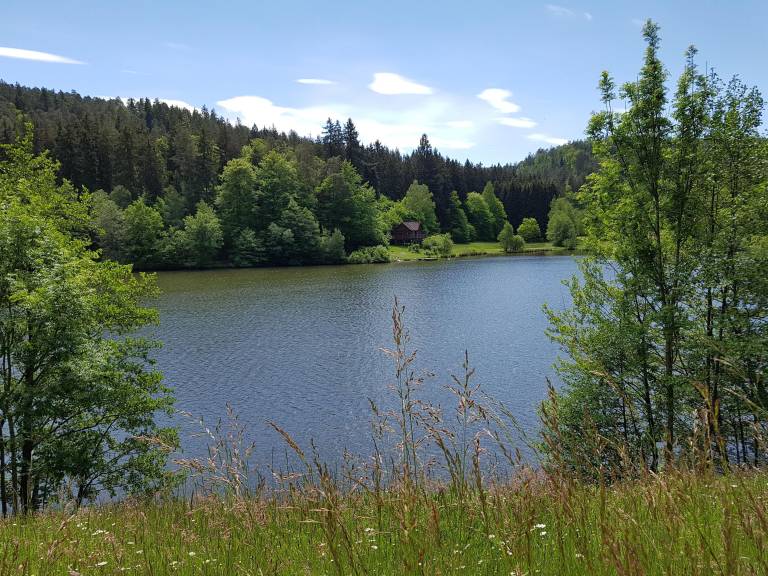 foto10