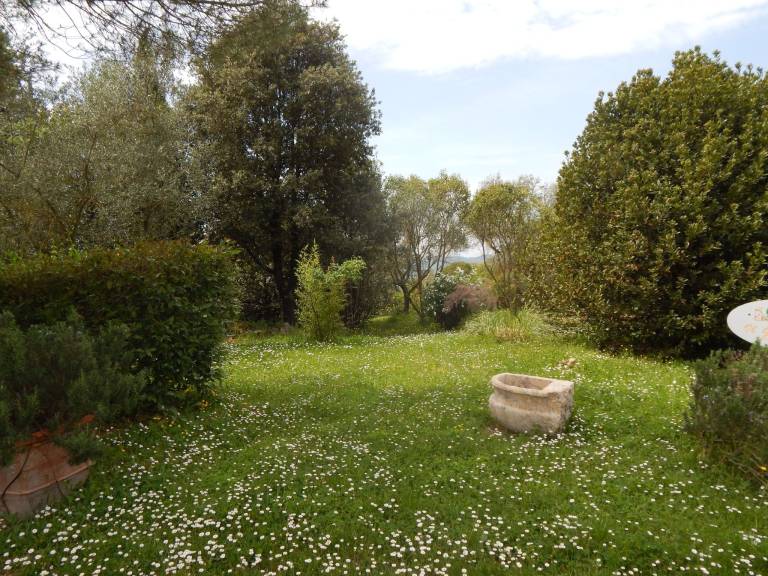 foto18