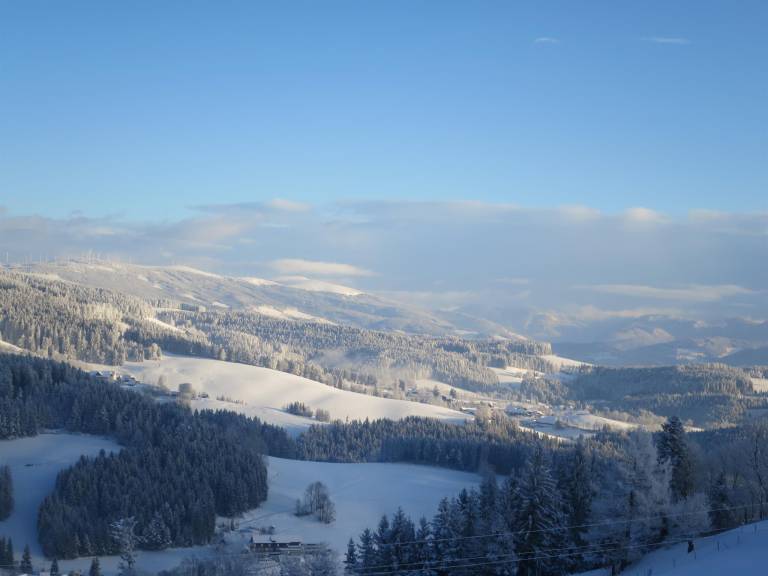 foto6
