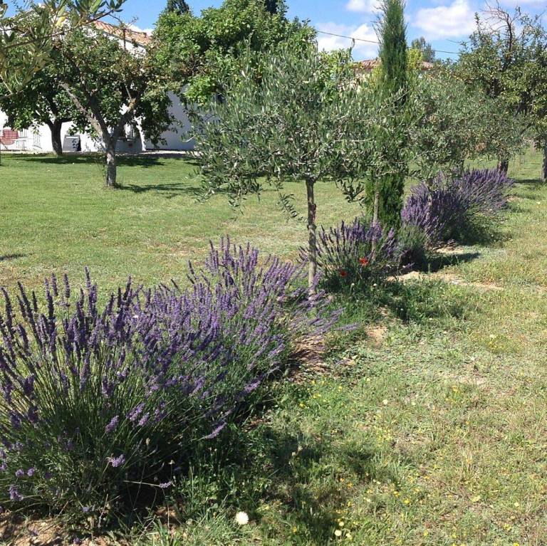 foto11