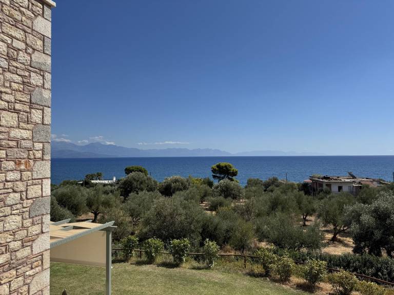 foto16
