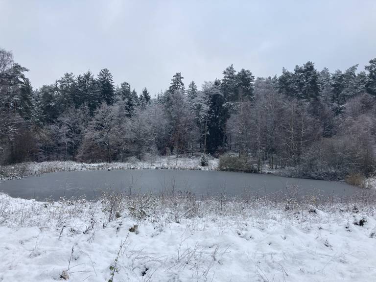 foto10