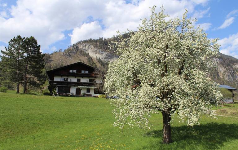 foto22