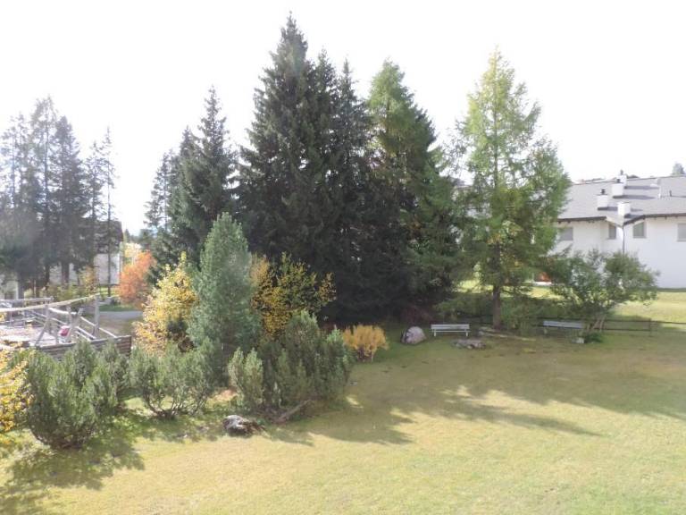 foto12