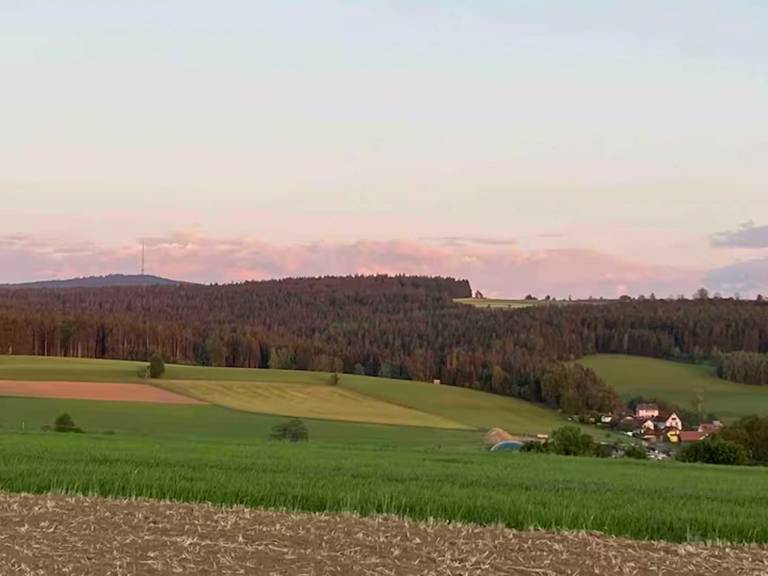 foto15