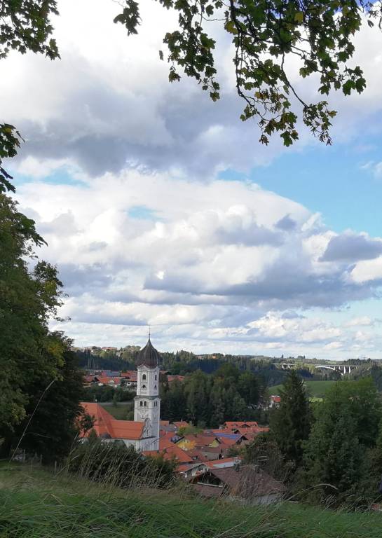 foto29