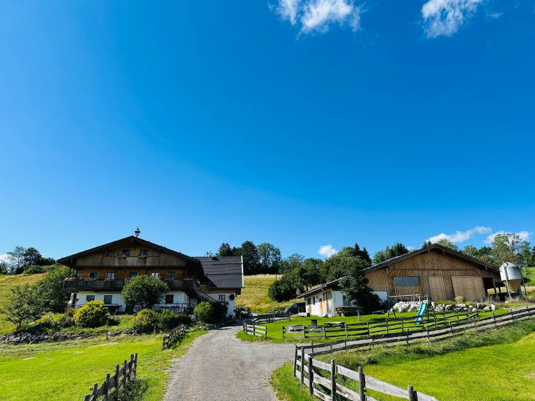 foto11