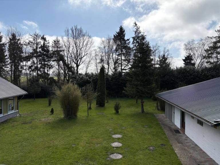foto11