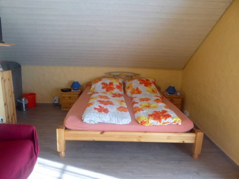 foto6