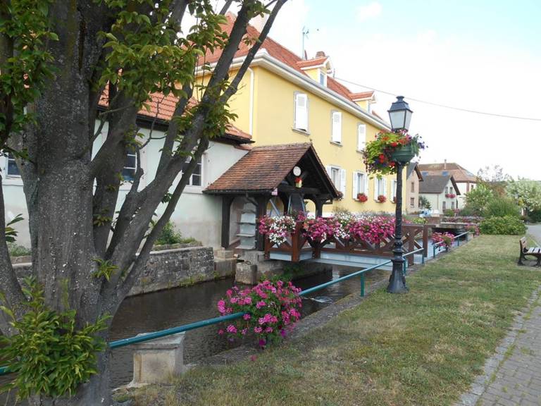 foto16