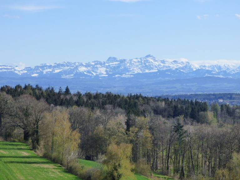 foto38