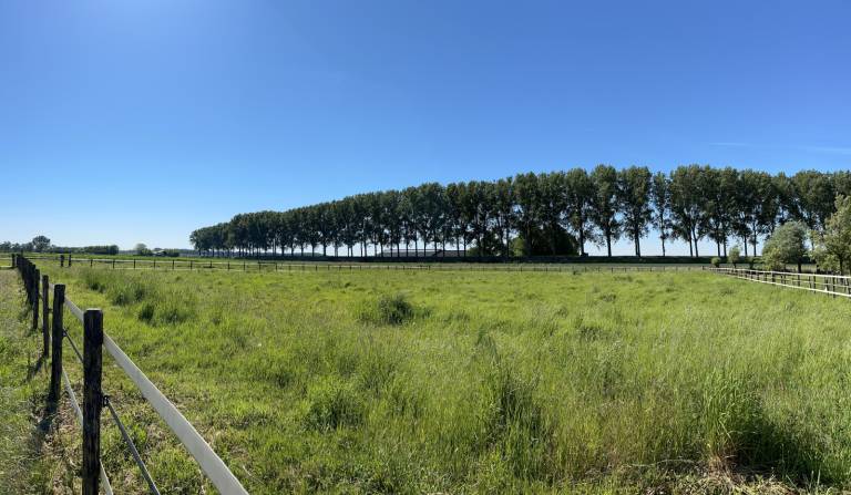 foto16