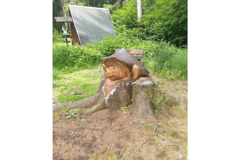 foto16