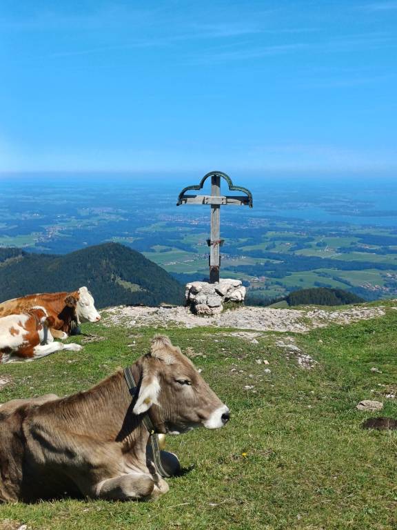 foto21
