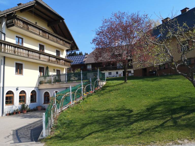 foto8