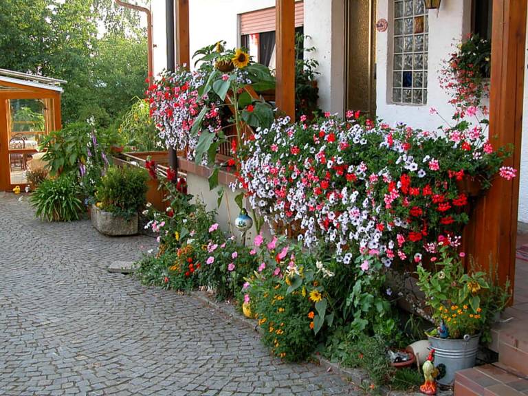 foto27