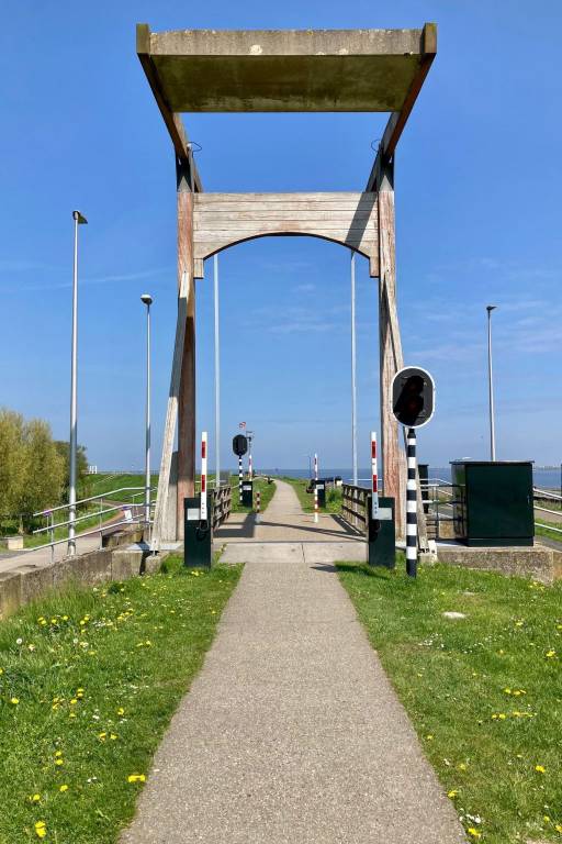 foto19