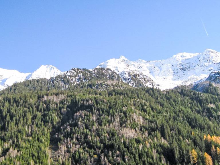 foto15