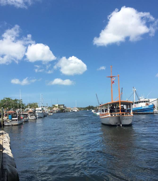 Apartment Tarpon Springs