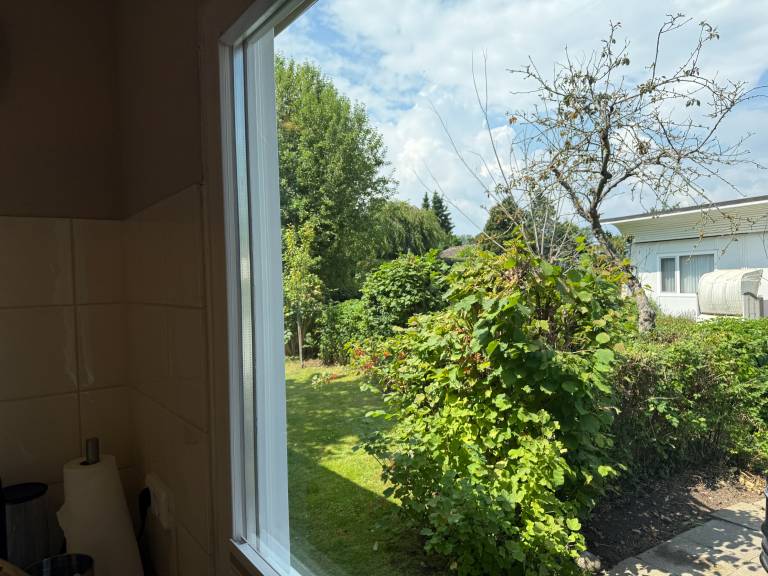 foto21