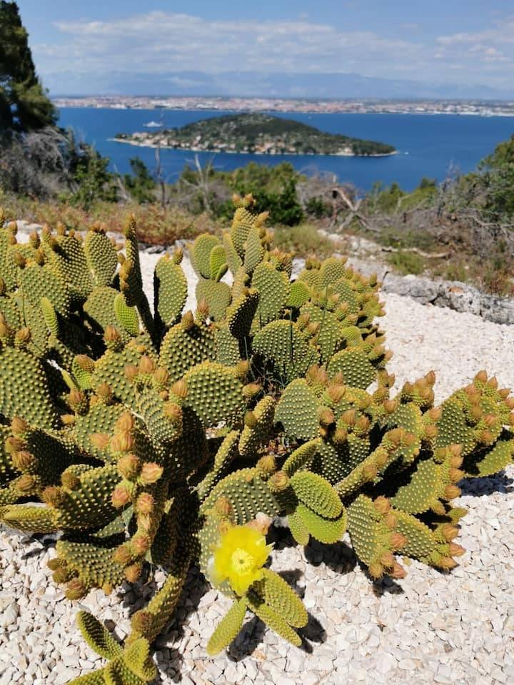 foto34